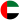 UAE Flag